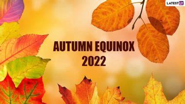 The Science Behind the Changing Colors of Fall Qunox Wigca